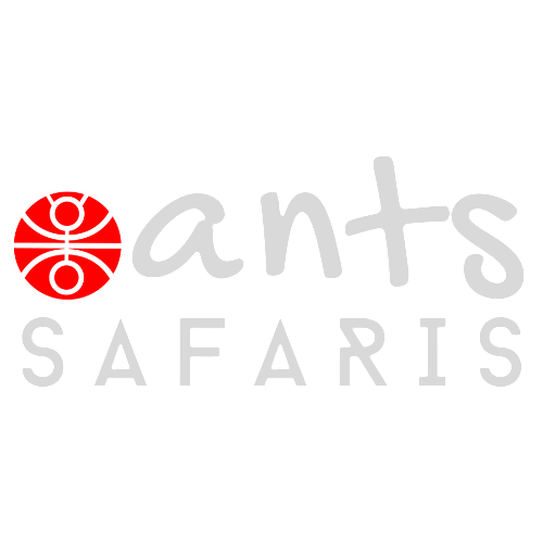 antssafaris