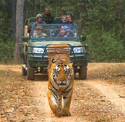 Pench National Park